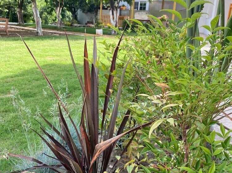 Orange Garden Hotel Akyaka