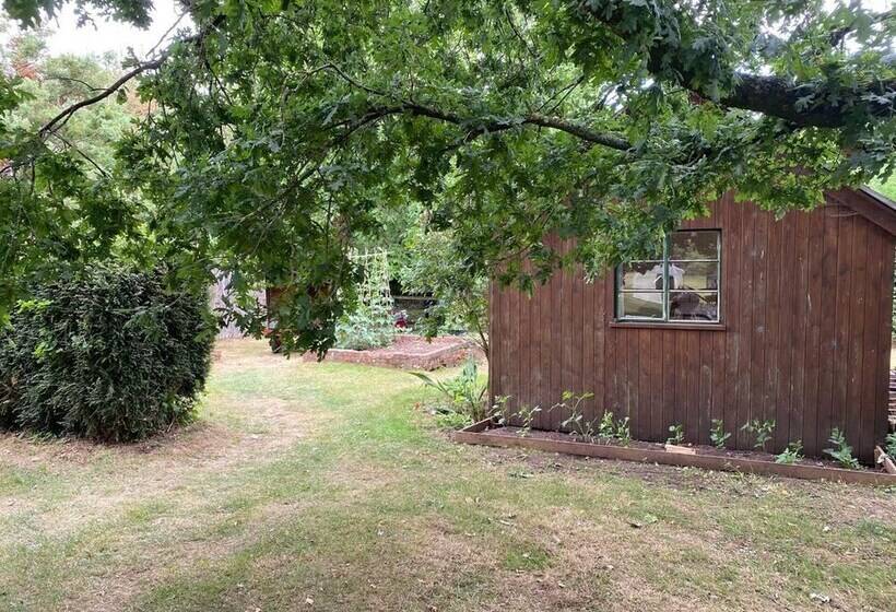 Orchard Cabin Herefordshire Wye Valley
