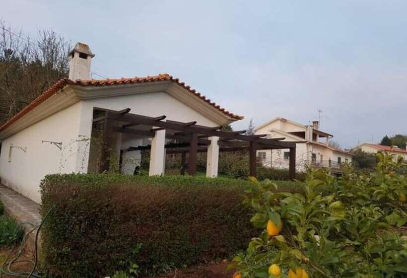 Assafarge 2bedroom 1bathroom Garden