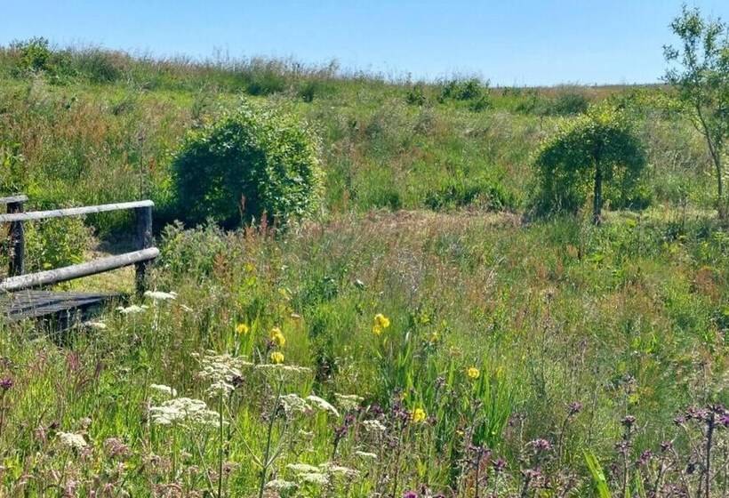 Peak District Cottage Set In 5 Acres Near Buxton