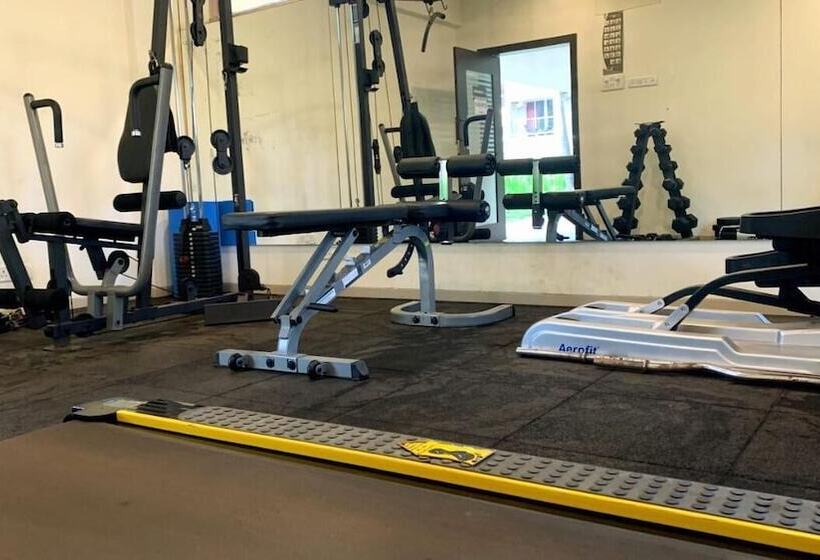 פנסיון Alohagoa