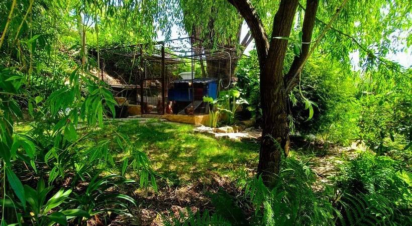 ペンション Casa Da Benfeitoria