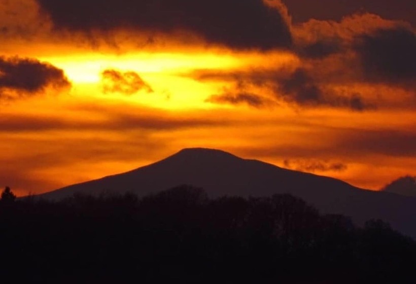Пансион Unique Off Grid Tree House Stay In Oak Woodland