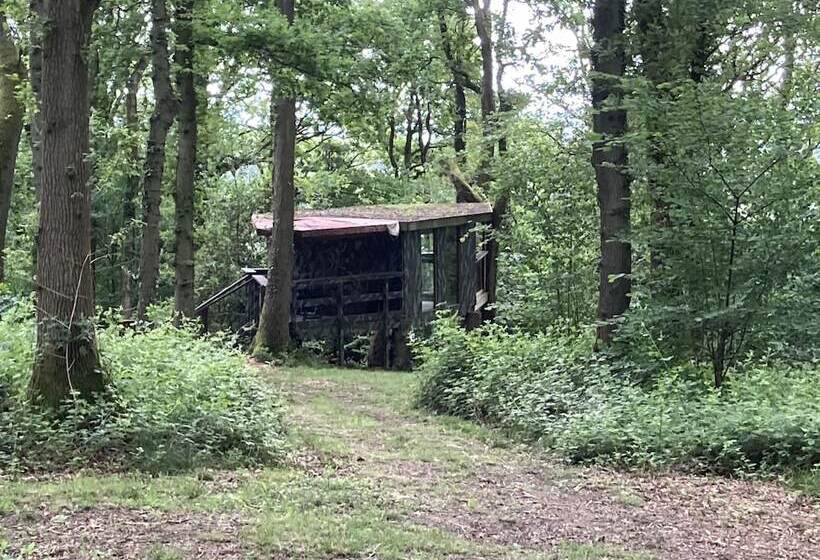 Пансион Unique Off Grid Tree House Stay In Oak Woodland