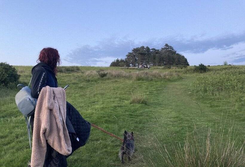 Пансион Unique Off Grid Tree House Stay In Oak Woodland