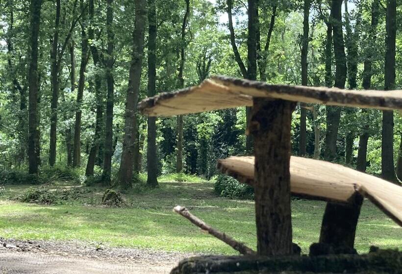 Пансион Unique Off Grid Tree House Stay In Oak Woodland