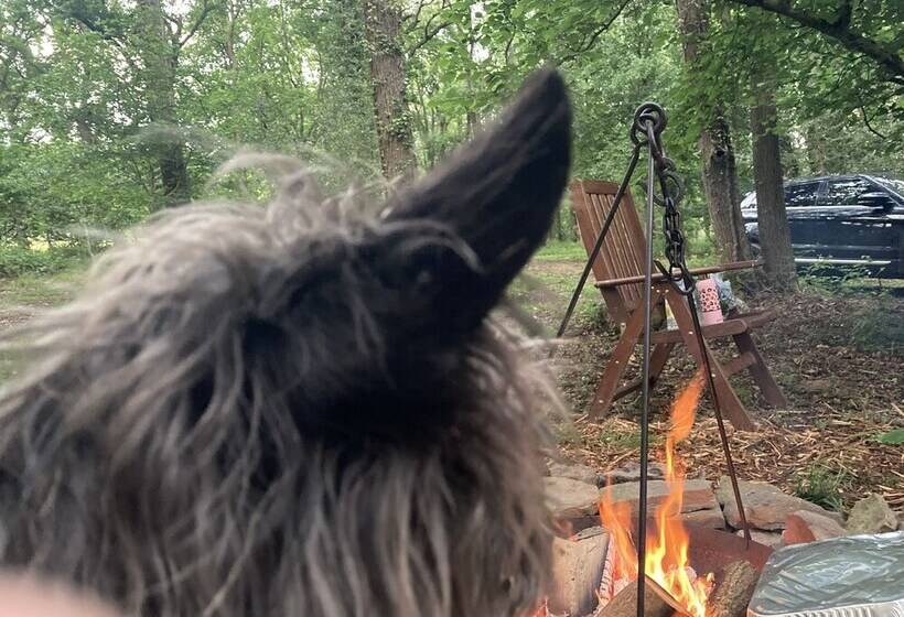 Пансион Unique Off Grid Tree House Stay In Oak Woodland