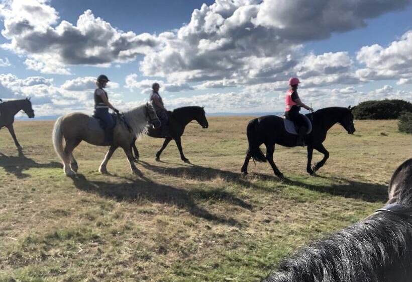 Пансион Unique Off Grid Tree House Stay In Oak Woodland