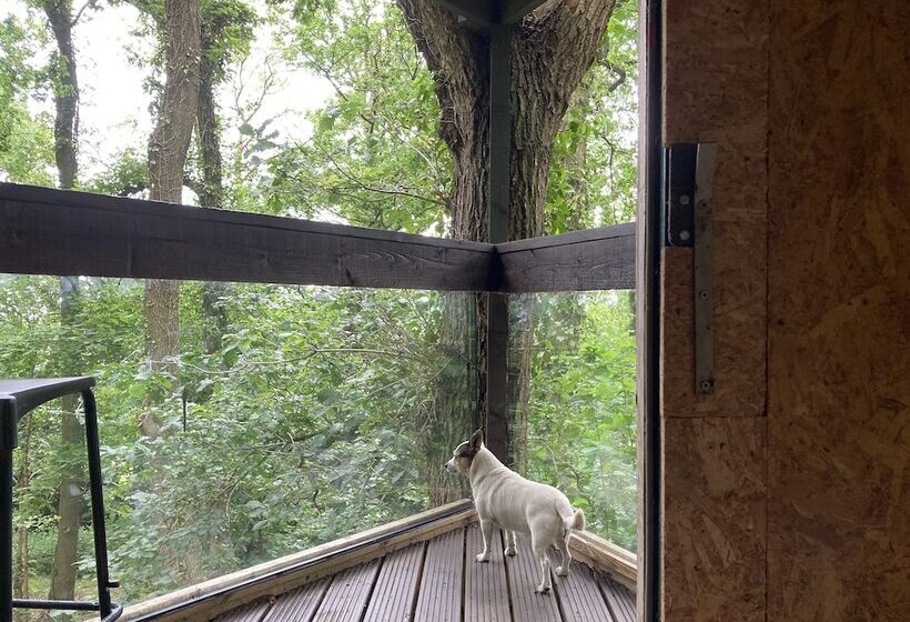 Пансион Unique Off Grid Tree House Stay In Oak Woodland