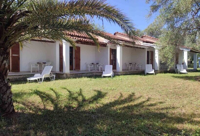 Repose Olive Grove Roda