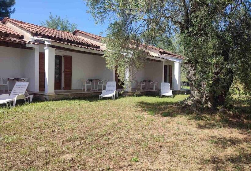 Repose Olive Grove Roda