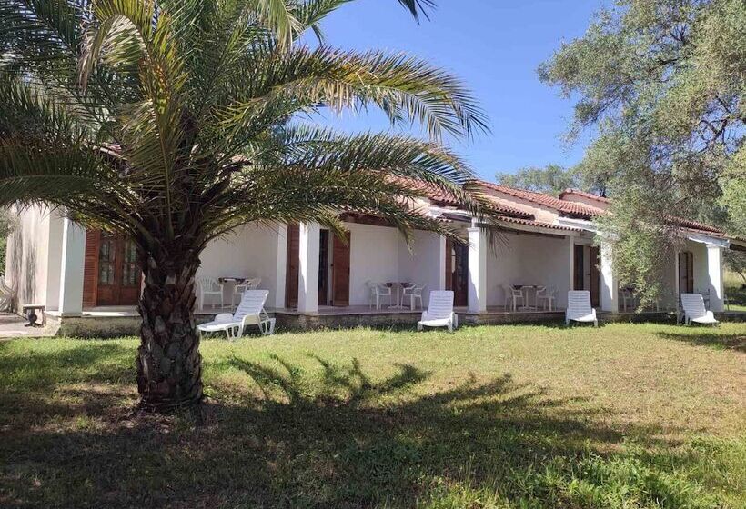 Repose Olive Grove Roda