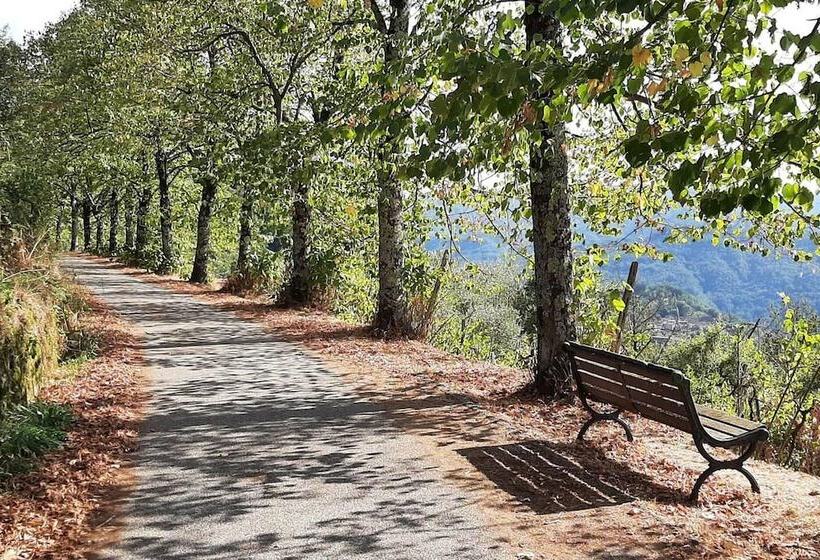 דירת נופש Beautiful 2 Bed House In Longoio, Bagni Di Lucca