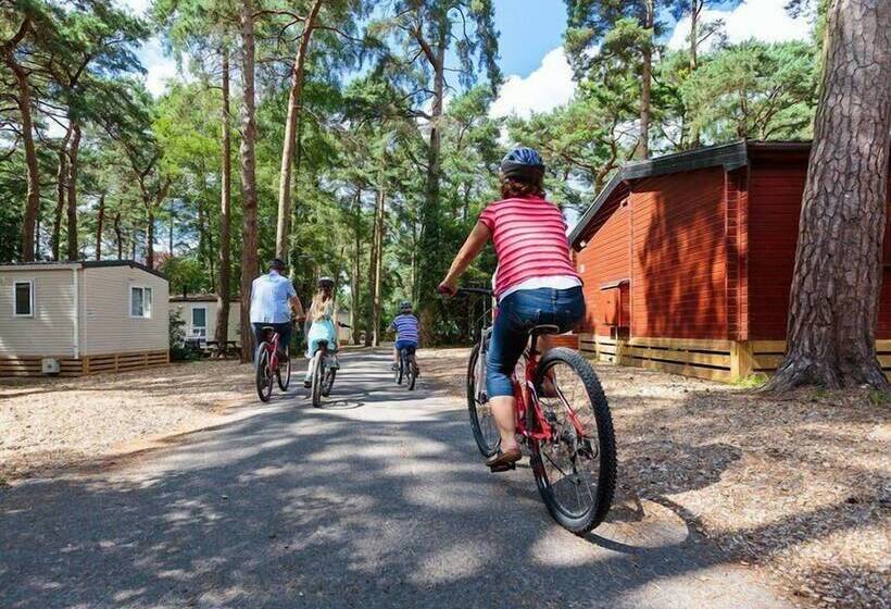 Курорт Sandy Balls Holiday Village