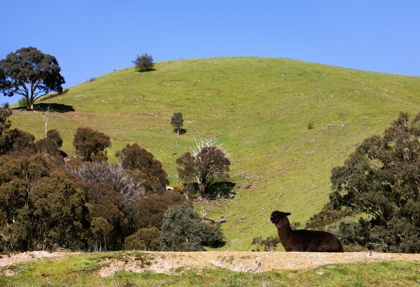 リゾートホテル The Village Green Glampervans