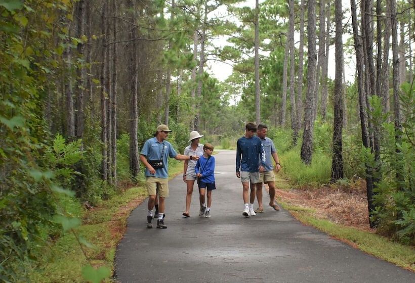 The Cabins At Gulf State Park