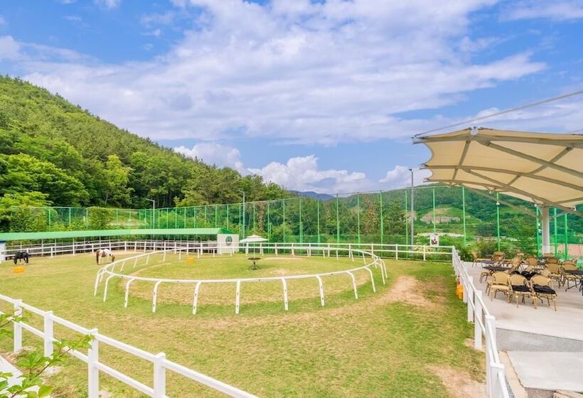 Tongyoung Sandeulhae Healling Pension