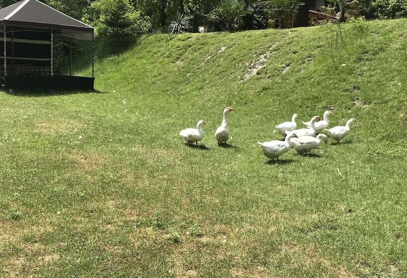 Aşina Motel Restorant