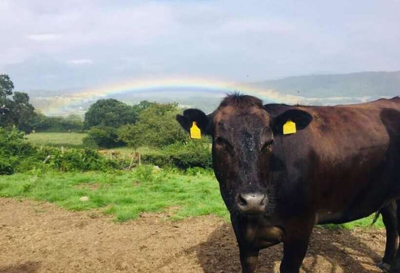 Idlewild Animal Sanctuary Farmhouse Stay   Charity