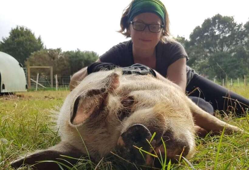 Idlewild Animal Sanctuary Farmhouse Stay   Charity