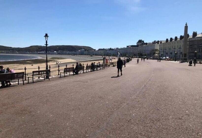 Idlewild Animal Sanctuary Farmhouse Stay   Charity