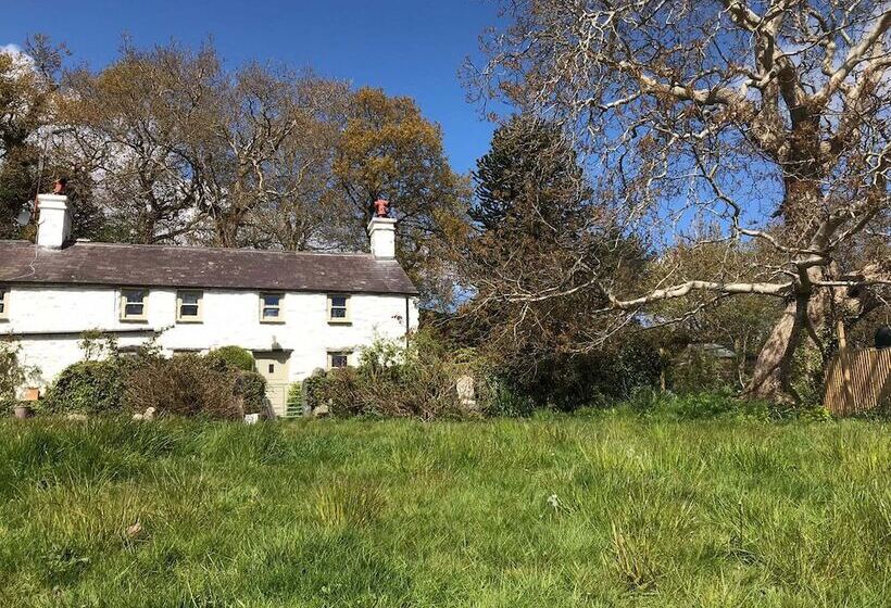 Idlewild Animal Sanctuary Farmhouse Stay   Charity