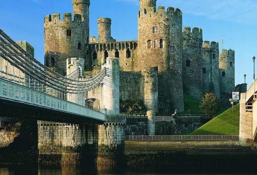 Idlewild Animal Sanctuary Farmhouse Stay   Charity