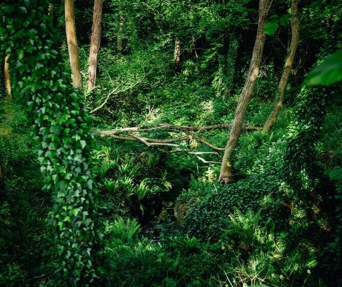 Beautiful 1 Bed Glamping Pod In Battle