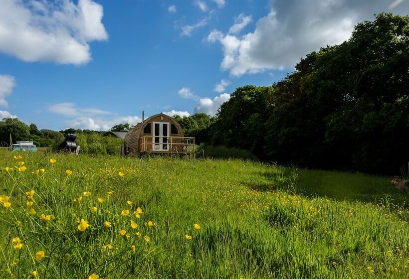 Beautiful 1 Bed Glamping Pod In Battle