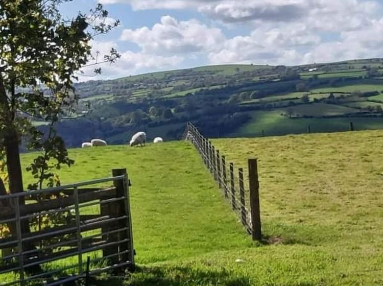 Spacious 1 Bed Lodge In Clifford, Hereford