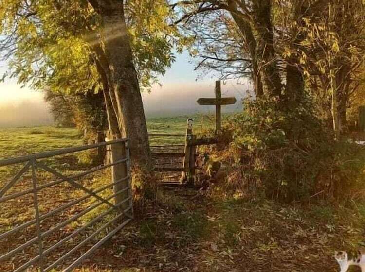 Spacious 1 Bed Lodge In Clifford, Hereford