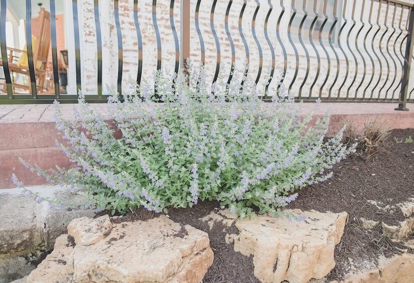 צימר Boonville Luxury Lodging