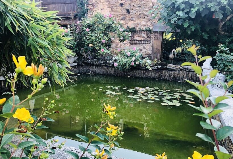 Bed and Breakfast La Placette Albigeoise