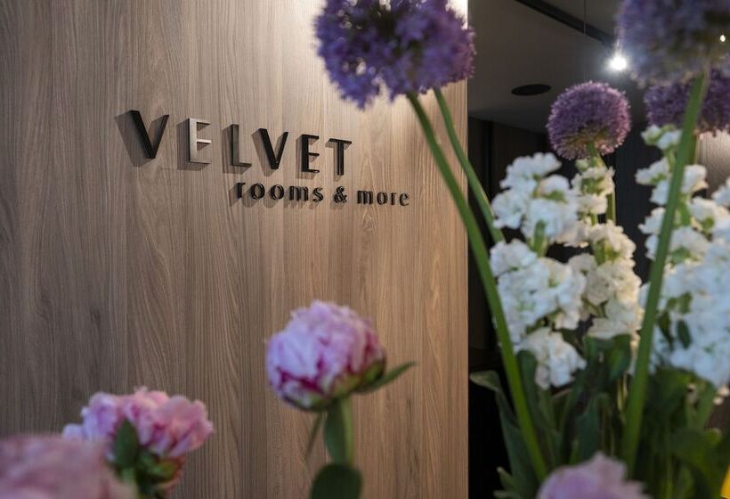 민박 Velvet Rooms & More