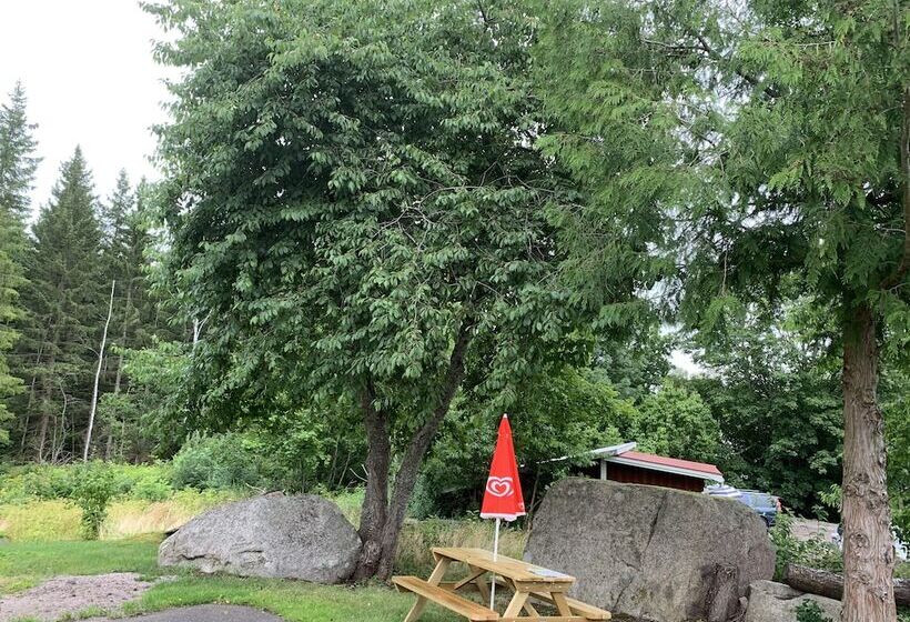 Blackstad Vandrarhem Hostal B&b