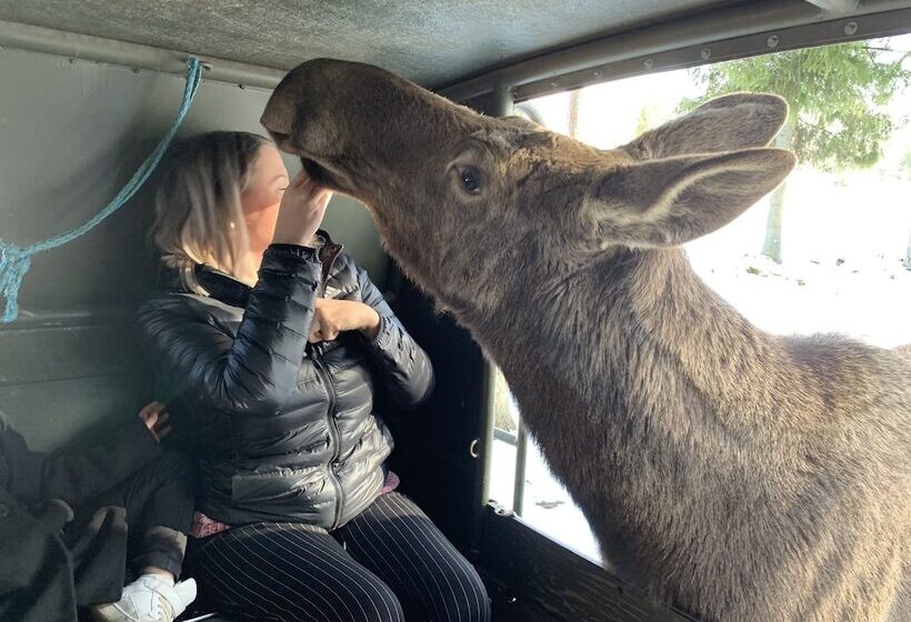 Blackstad Vandrarhem Hostal B&b