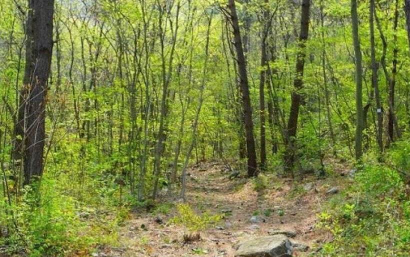 Buan Chilkdeokgol Pension