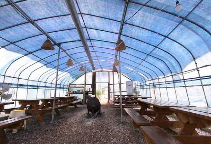 Buan Pullip Love Pension