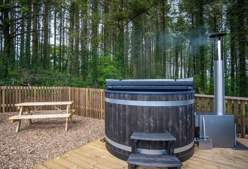 Cabin In The Woods   1 Bed   Kilgetty