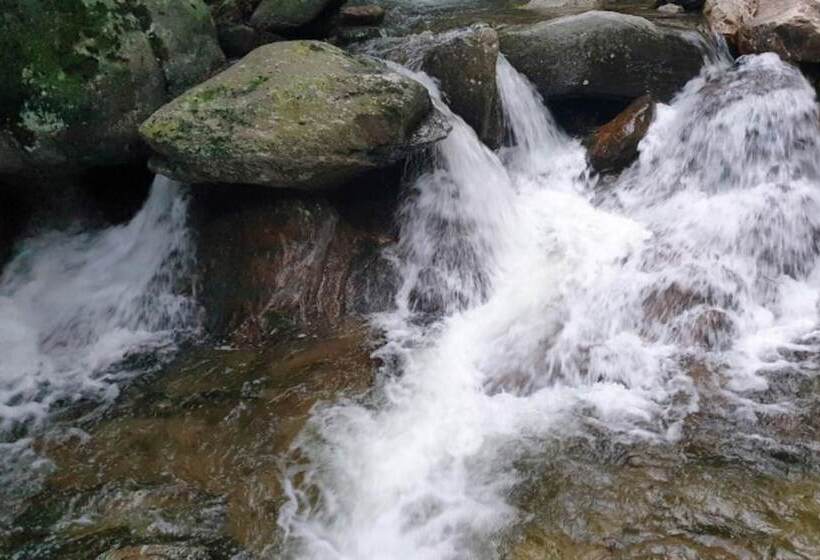 Chuncheon Byeolnim Dalnim Pension