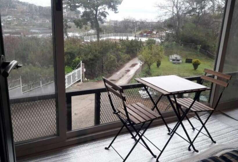 Daebudo Ann S Gallery Pension