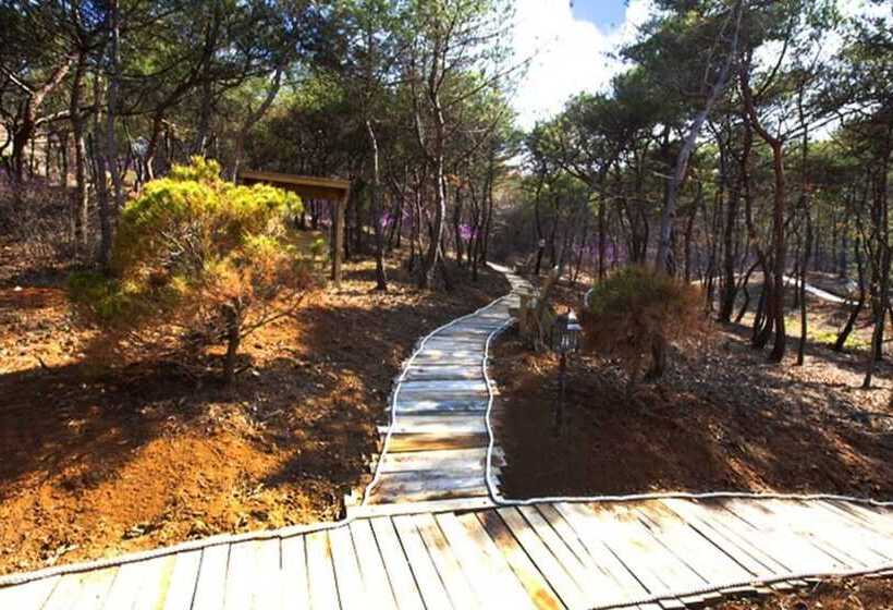 Daebudo Grove Resort Pension
