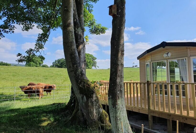 Gaerhyfryd Static Caravan