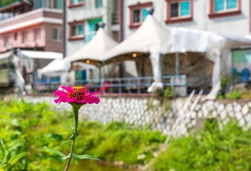 Gangchon Pine Hill Pension