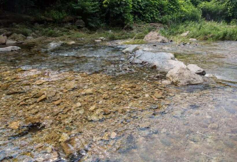 Gapyeong La Foret Pension