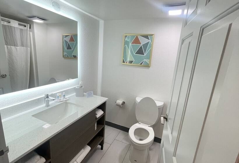 فندق Comfort Inn & Suites