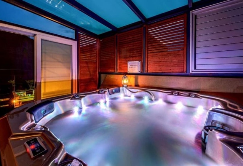 ペンション Hongcheon Casa Pellis Pet Private Pesion