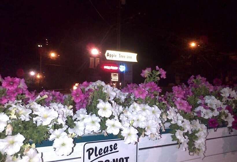 בית מלון כפרי Apple Tree Inn