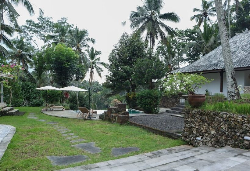 בית מלון כפרי Aventus Resort Ubud