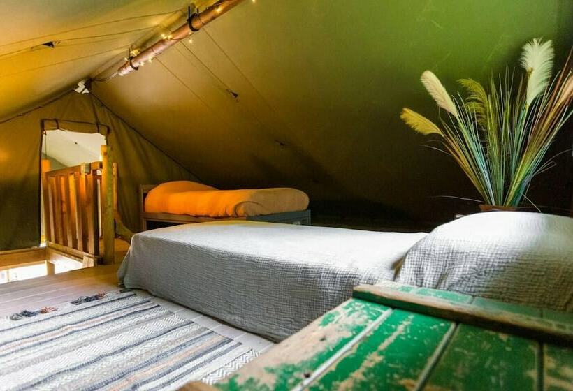 酒店 Awe Inspiring Two Storey Tent